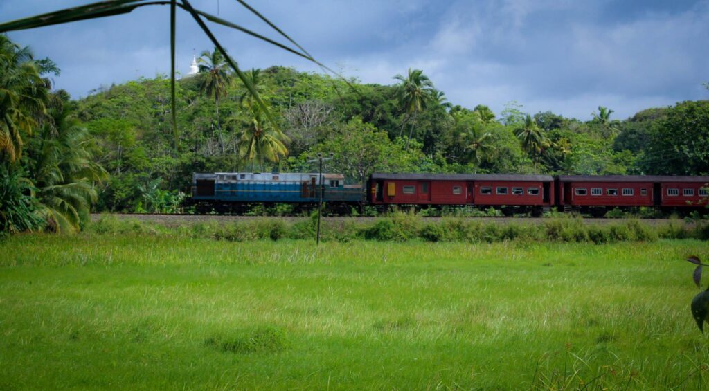 🌿 Paddy View Resort Experience: A Peaceful Escape Into Nature