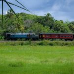🌿 Paddy View Resort Experience: A Peaceful Escape Into Nature